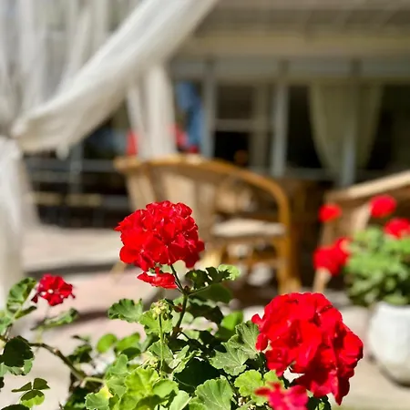 San Pietro Hotel 3*