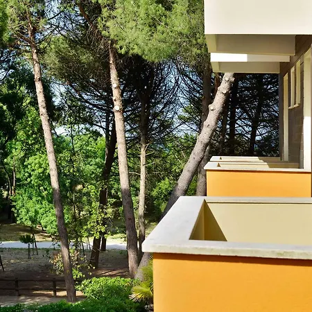 San Pietro 3* Червия