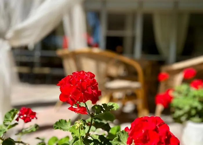 San Pietro Hotel 3*